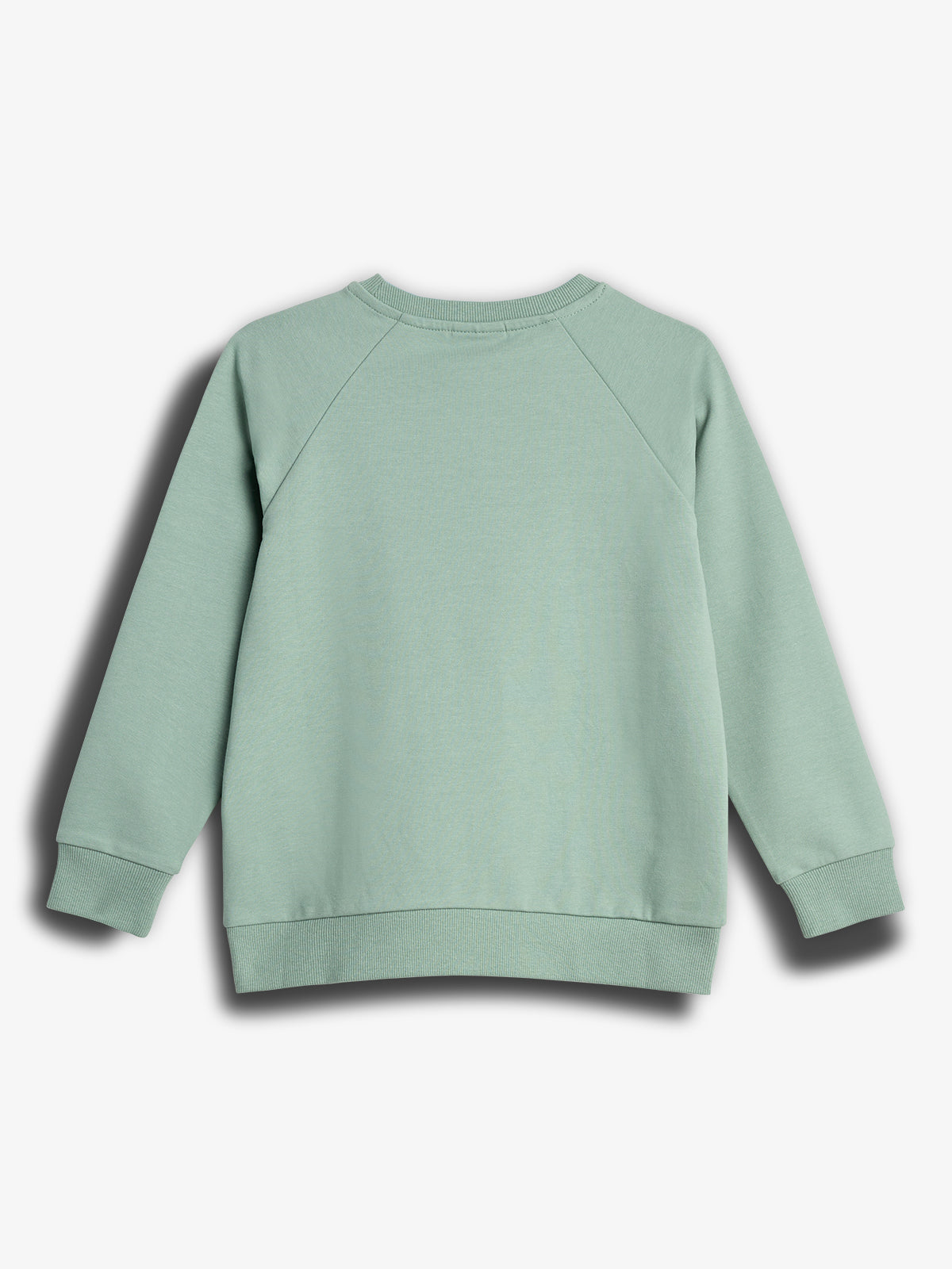 Sweatshirt med rund hals - Tween - Grøn | 100365 Ryan