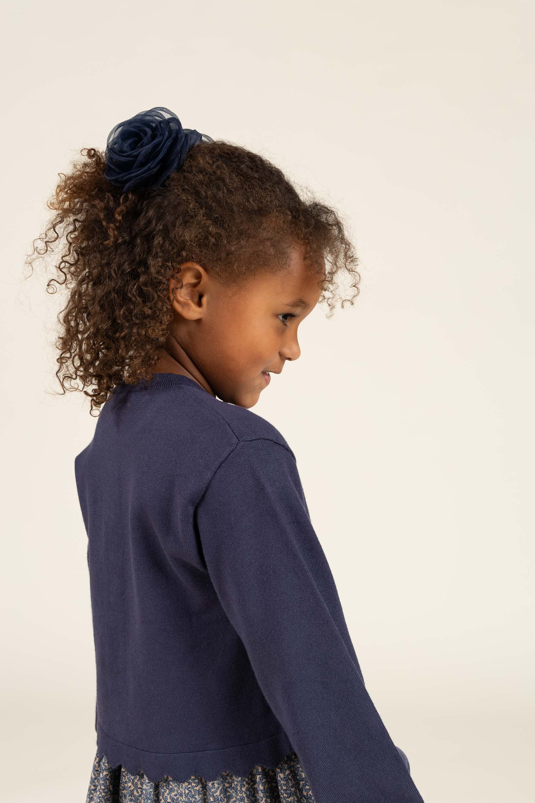 Hårklemme - All - Navy | 100713 Rosie