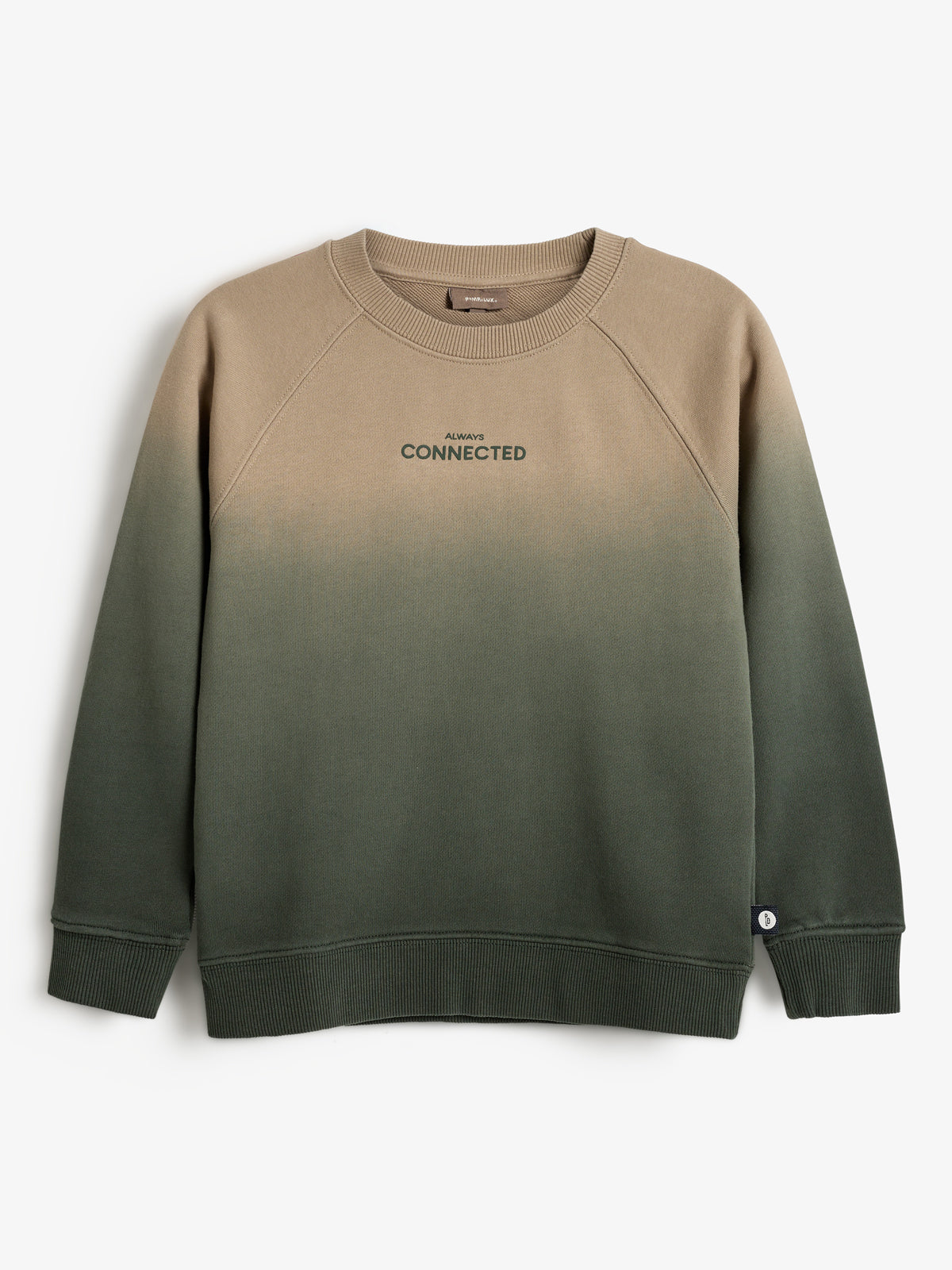 Sweatshirt with a gradient from tan to dark green, featuring the text "ALWAYS CONNECTED" on the chest. Displayed on a plain white background.