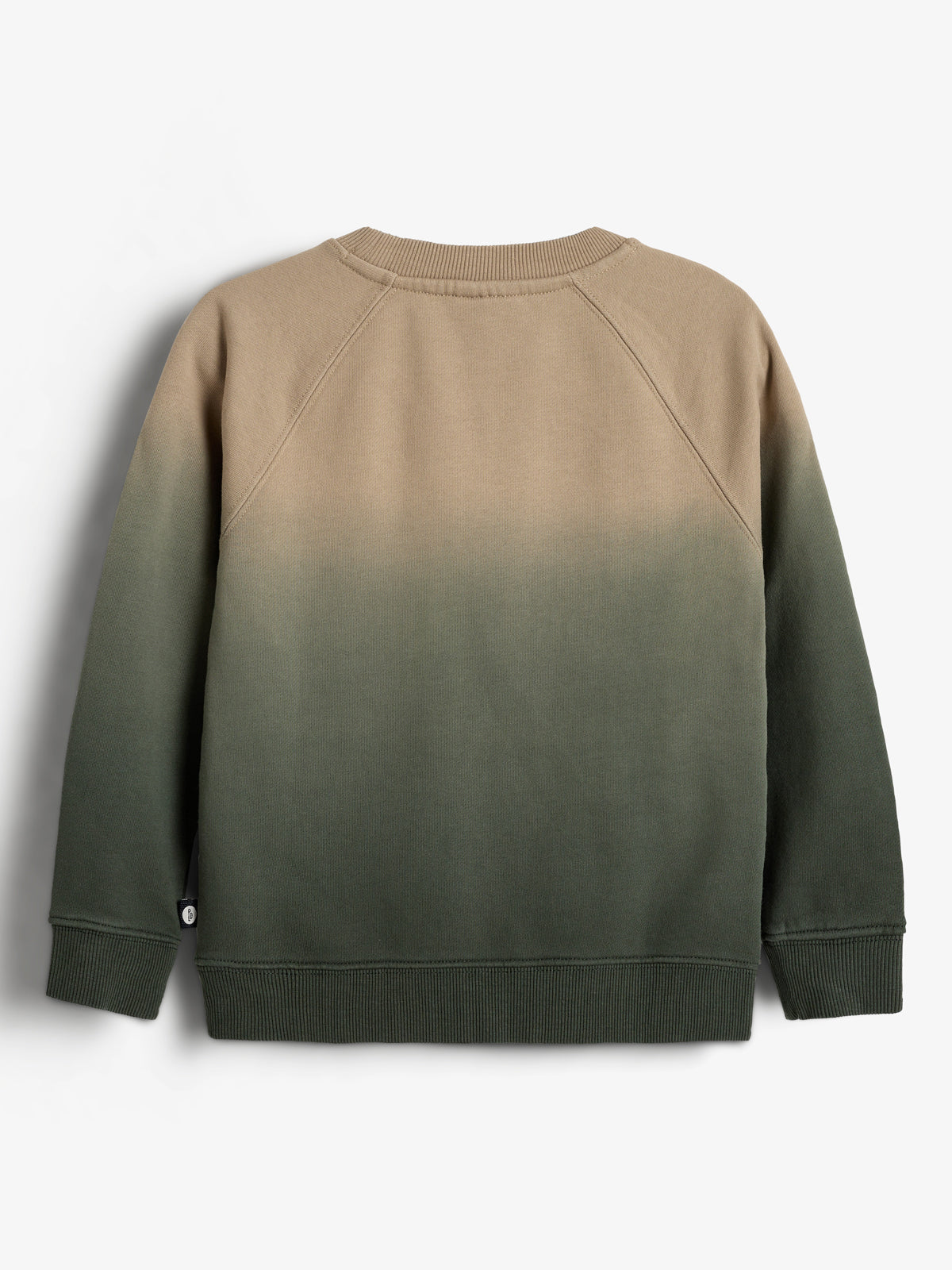 Sweatshirt with a beige-to-green gradient pattern, displayed against a plain white background. The design features ribbed cuffs and neckline.