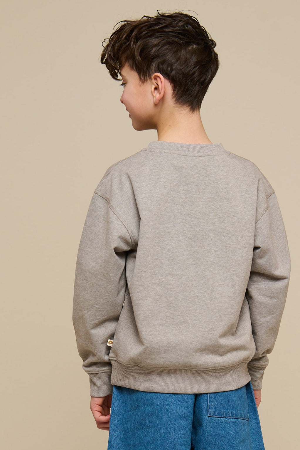 Crewneck sweatshirt - Tween - Grey Melange | 101162 Nathan